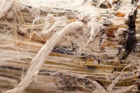 Compensation for asbestos for lung cancer