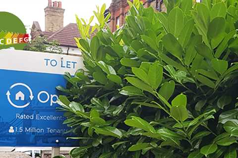 BTL lender reveals unusual EPC-linked mortgage deal just for expats