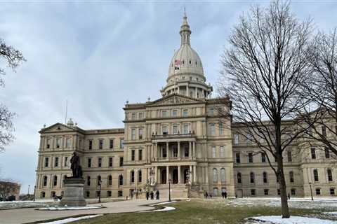 Bills would make ‘devastating’ child marriage illegal in Michigan