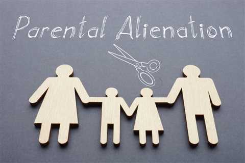 Understanding How to Address Emotional Abuse Through Parental Alienation Laws