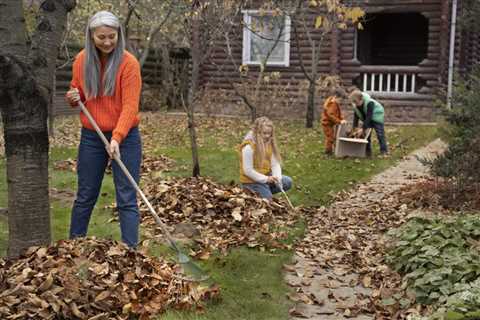 Best Practices for Fall Tree Care