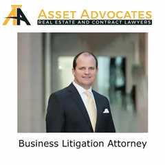 Business Litigation Attorney