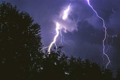 THE DANGERS OF NOT REMOVING TREES DAMAGED BY LIGHTNING