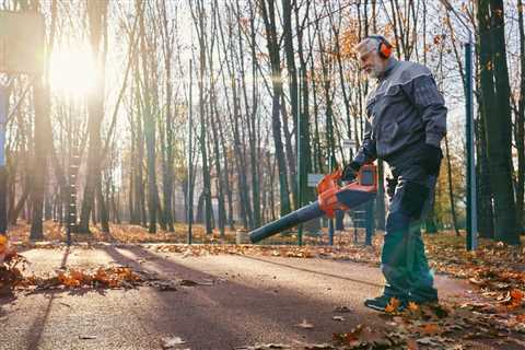 THE DANGERS OF NOT HIRING LICENSED AND INSURED TREE SERVICE COMPANIES