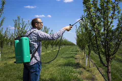 THE DANGERS OF OVERWATERING YOUR TREES