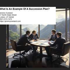 What Is An Example Of A Succession Plan?