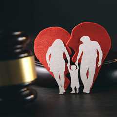 What Are the Advantages of Selecting Alex Mandry Legal Group for My Family Law Case on the Sunshine ..