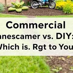 Commercial Landscaper Vs DIY: Which Is Right For You? — Truco Services (801) 466–8044