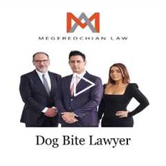 Dog bite lawyer - Megeredchian Law