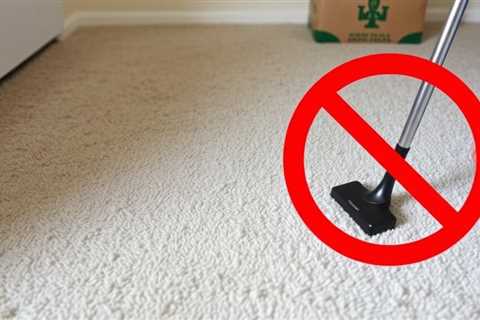 Carpet Cleaning After Bed Bug Treatment