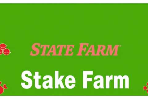 State Farm Commercial