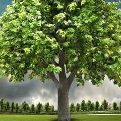 7 Ways To Care For Your Trees In Taylorsville