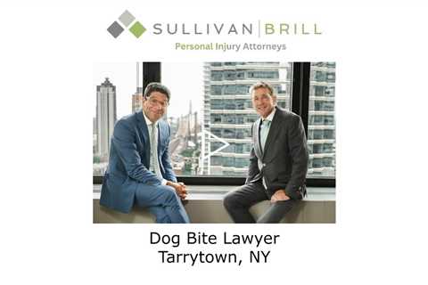Dog Bite Lawyer Tarrytown, NY - Sullivan Brill Personal Injury Attorneys