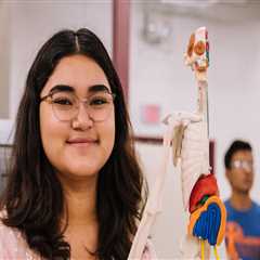 Bullying Prevention in Northern Utah: Strategies for Schools