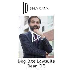 Dog Bite Lawsuits Bear, DE - The Sharma Law Firm