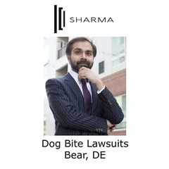 Dog Bite Lawsuits Bear, DE - Sharma Law - Personal Injury Attorney