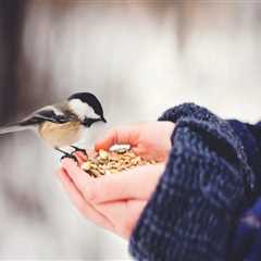 New blog daveyg062edb6.angelinsblog.com