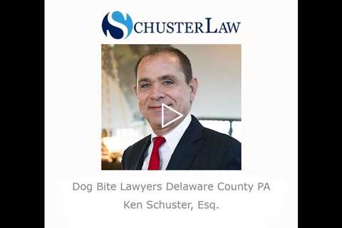 Dog Bite Lawyers Delaware County PA   Schuster Law