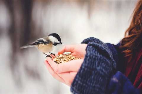 New blog daveyg062edb6.angelinsblog.com