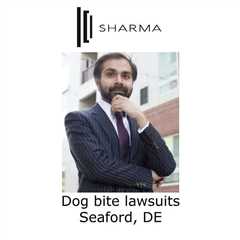 Dog bite lawsuits Seaford, DE - Sharma Law - Personal Injury Attorney