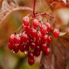 New blog aabyej173jih9.blogsvirals.com