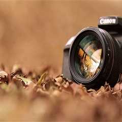 New blog jamesg443viu7.webdesign96.com