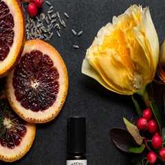 A Review Of Power Of Attorney Lawyer Utah