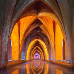 New blog sachaf432tgr6.thechapblog.com