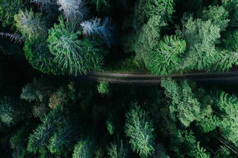 New blog muhammadu985wdk2.like-blogs.com