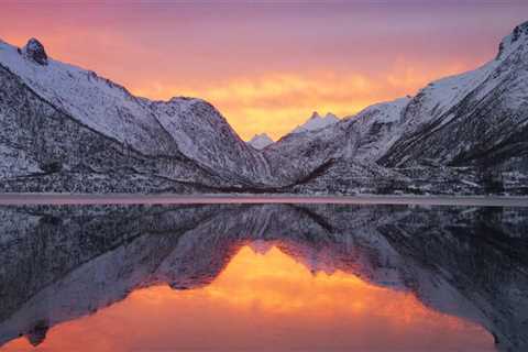 Not known Factual Statements About Trusts Lawyer