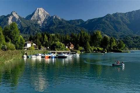 Detailed Notes on Probate Lawyer Near Me