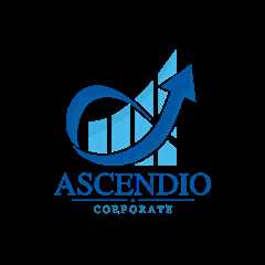 User: horacio binney  - Ascendio Corporate u2013 Strategic Business Consulting