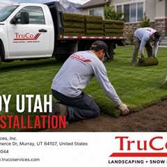 Sandy Utah Sod Installation
