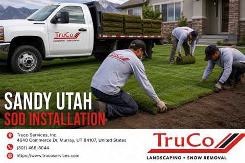Sandy Utah Sod Installation